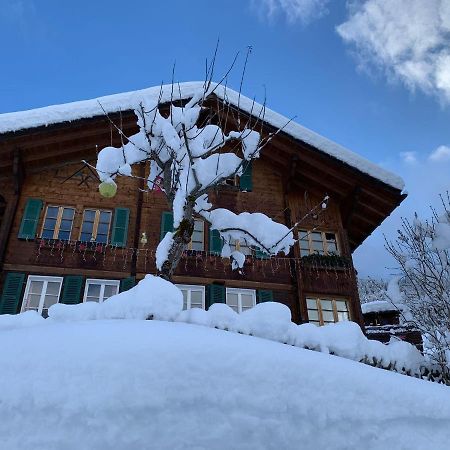 Chalet Schiltwald InnerВенген Экстерьер фото