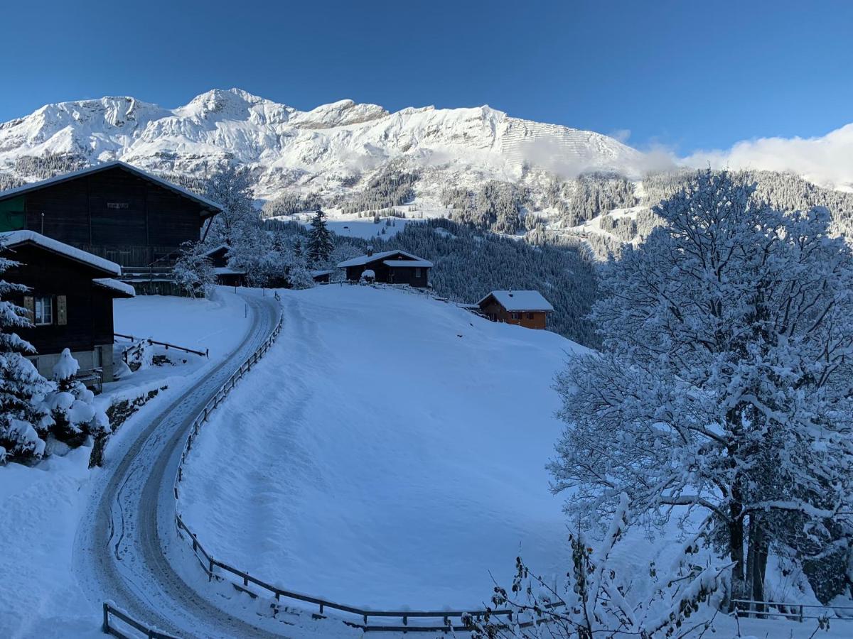 Chalet Schiltwald InnerВенген Экстерьер фото