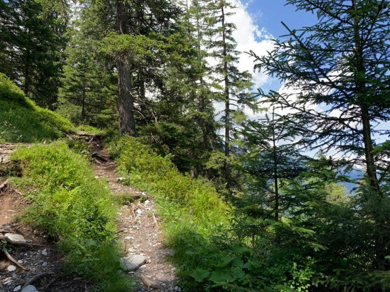 Chalet Schiltwald InnerВенген Экстерьер фото