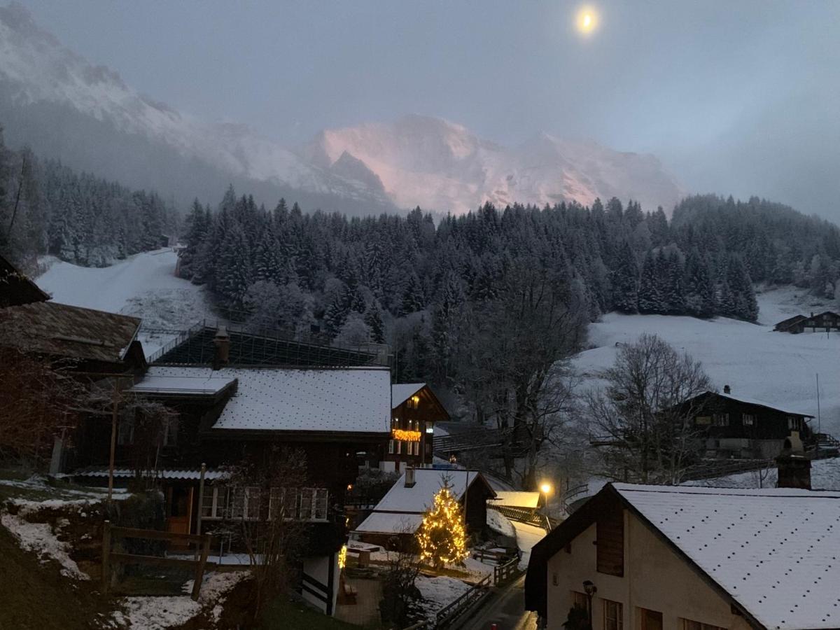 Chalet Schiltwald InnerВенген Экстерьер фото