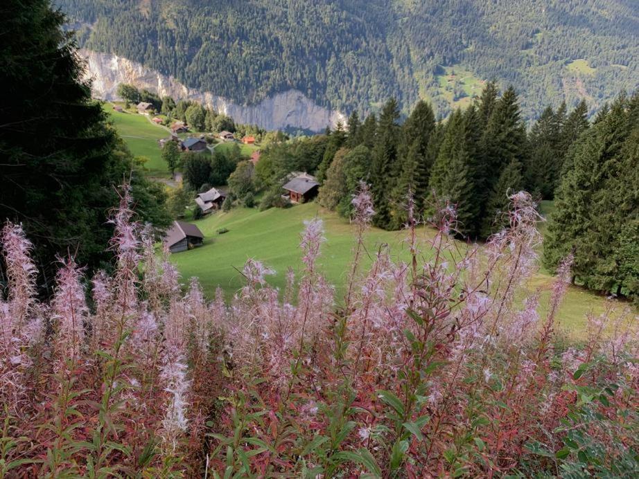 Chalet Schiltwald InnerВенген Экстерьер фото