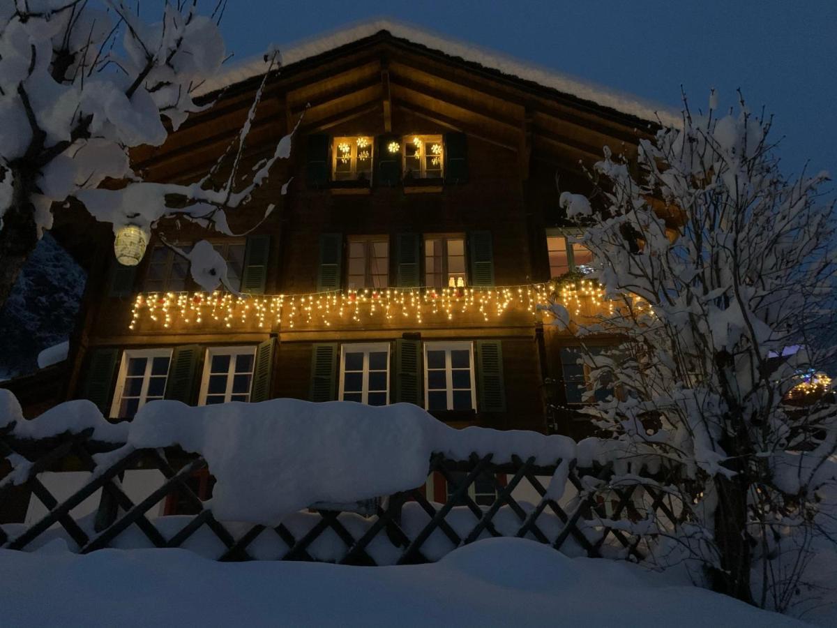 Chalet Schiltwald InnerВенген Экстерьер фото