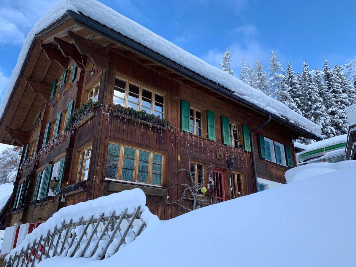 Chalet Schiltwald InnerВенген Экстерьер фото