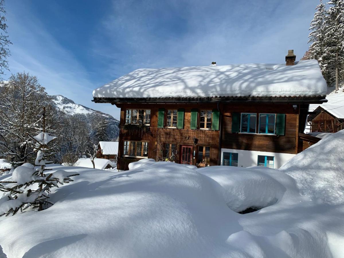 Chalet Schiltwald InnerВенген Экстерьер фото